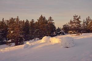 foresta invernale in una gelida giornata di sole foto