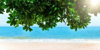 paesaggio di bianca sabbia spiaggia foto