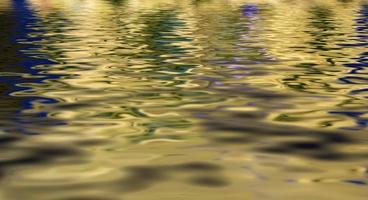 acqua onde - giallo leggero riflessione foto