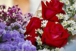 bouquet di rose rosse il giorno della laurea foto