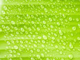 close-up gocce d'acqua su foglia verde banana foto
