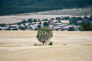 panoramico rurale paesaggio foto