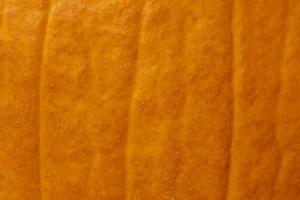 vicino su di arancia sbucciare di zucca foto