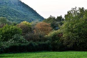 paesaggio montano scenico foto