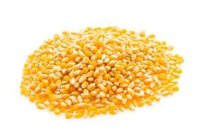 semi di pannocchia di mais