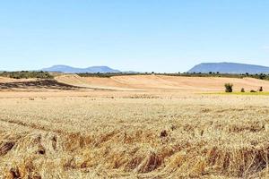 panoramico rurale paesaggio foto