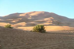 paesaggio nel Marocco foto