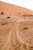 panoramico deserto paesaggio foto