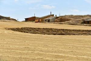 panoramico rurale paesaggio foto