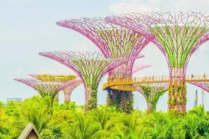 giardino della baia di singapore foto