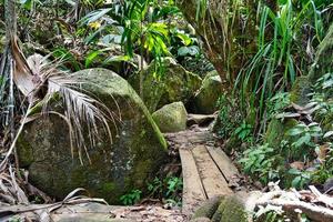 copolia sentiero, vecchio di legno ponte fra rocce 1mahe Seychelles foto