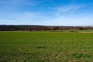 prato nel il estate verde campo paesaggio nazione foto