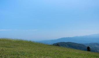 bellissimo erba campo con blu cielo. campagna paesaggio Visualizza sfondo. foto