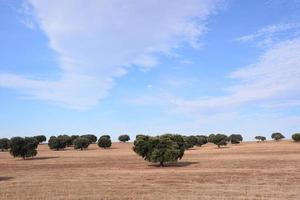 panoramico rurale paesaggio foto