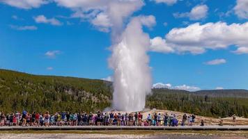 vecchio fedele scaldabagno nel Yellowstone nazionale parco, Stati Uniti d'America foto