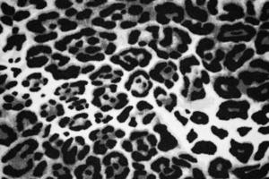 bellissimo leopardo nero e bianca animale Stampa sfondo struttura foto