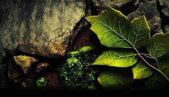 travolgente textures a partire dal foglie, Di legno, e pietre sfondo generativo ai foto