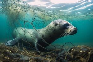 un' bambino foca intrappolati nel plastica detriti galleggiante nel il nord Pacifico, subacqueo fotografia. il concetto di un ecologico disastro causato di plastica spazzatura. ai generato foto