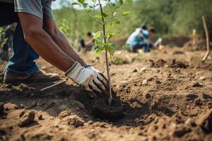 un' giardiniere nel guanti impianti giovane albero piantine in il terra. il concetto di primavera e il inizio di opera nel il giardino. ai generato foto