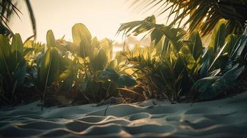 tropicale spiaggia con palma alberi e sabbia dune a tramonto, blu mare foto