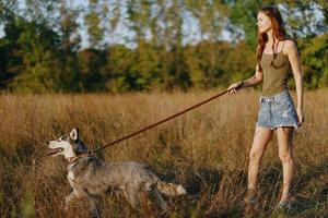 donna e sua rauco cane felicemente a piedi e in esecuzione nel il erba nel il campo Sorridi con denti autunno tramonto camminare con un' animale domestico, in viaggio con un' amico cane felicità foto