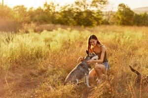 donna e sua rauco cane felicemente a piedi e in esecuzione attraverso il erba nel il parco Sorridi con denti autunno tramonto camminare con animale domestico, in viaggio con un' cane amico foto