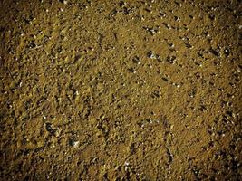 patch di terreno roccioso o sabbia per lo sfondo o la trama foto