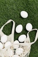 sparpagliato Borsa con bianca uova su il prato vacanza Pasqua superiore Visualizza foto