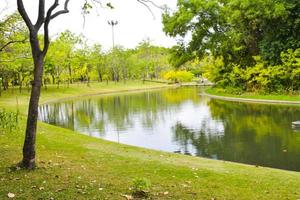 bellissimo fioritura alberi fiori e fiume nel giardino parco nel bangkok, Tailandia foto