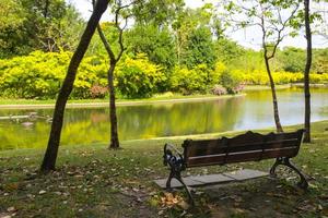 di legno panchine di il acqua e paesaggio Visualizza nel giardino parco nel bangkok, Tailandia foto