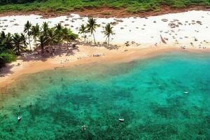 illustrazione di un' bellissimo spiaggia nel Africa foto