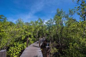 di legno ponte passerella a kung krabaen baia mangrovia foresta a Chanthaburi città Tailandia. foto