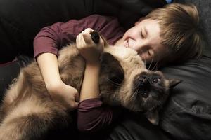 un' bambino con un animale. un' ragazzo è giocando con un' gatto. foto