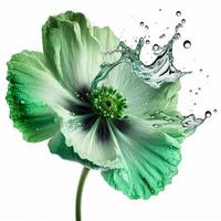 bellissimo verde fiore nel il acqua. generativo ai foto