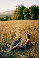 donna seduta nel un' campo con un' bassotto cane sorridente mentre la spesa tempo nel natura con un' amico cane nel autunno a tramonto foto