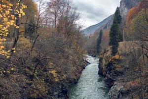 montagne autunno foresta fiume paesaggio natura viaggio foto
