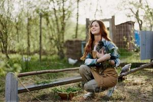 un' donna contadino nel opera Abiti è Tenere un' giovane pollo e ispezionando un' alimentatore con biologico biologico pollo cibo su il azienda agricola su un' tramonto estate giorno foto