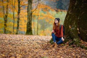 ritratto di un' donna nel un' maglione e jeans e un' cappello sotto un' albero nel il autunno foresta foto