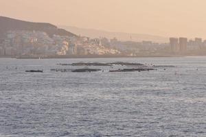 panoramico mare Visualizza foto