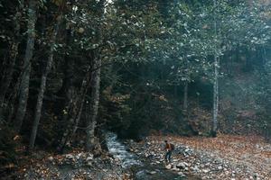 donna viaggiatore vicino un' montagna fiume nel il foresta si siede su il riva autunno paesaggio foto