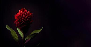 buio celosia fiore nel nero sfondo ai generato foto