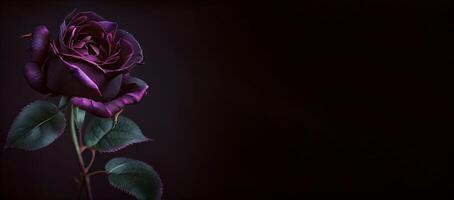 buio viola rosa fiore nel nero sfondo ai generato foto