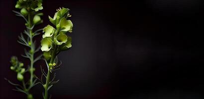 buio digitale fiore nel nero sfondo ai generato foto