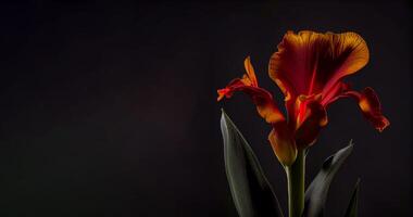 buio canna fiore nel nero sfondo ai generato foto