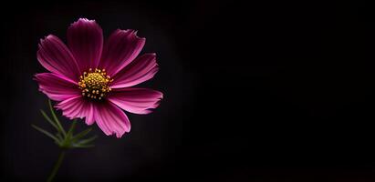 buio cosmo fiore nel nero sfondo foto