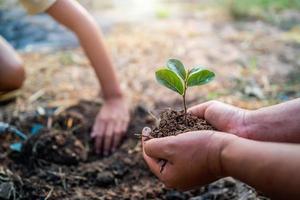 piantare albero nel giardino. concetto Salva mondo verde terra foto