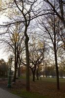 i colori dell'autunno in un parco foto