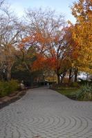 i colori dell'autunno in un parco foto