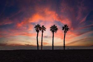 mare paesaggio pace e silenzioso tramonto e quattro palma alberi su il spiaggia foto