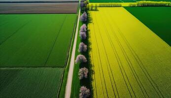 generativo ai, azienda agricola paesaggio, agricolo campi, bellissimo campagna, nazione strada. natura illustrazione, fotorealistico superiore Visualizza drone, orizzontale striscione. foto